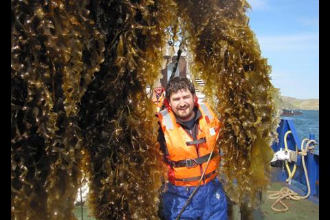 Seaweed cultivation at SAMS